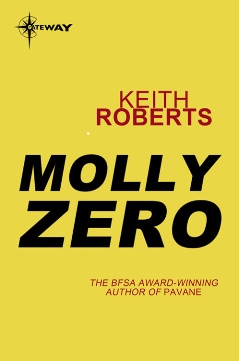 Cover image for book Molly Zero