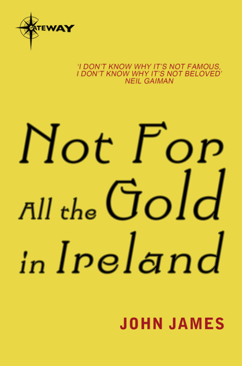 Cover image for book Not For All The Gold In Ireland