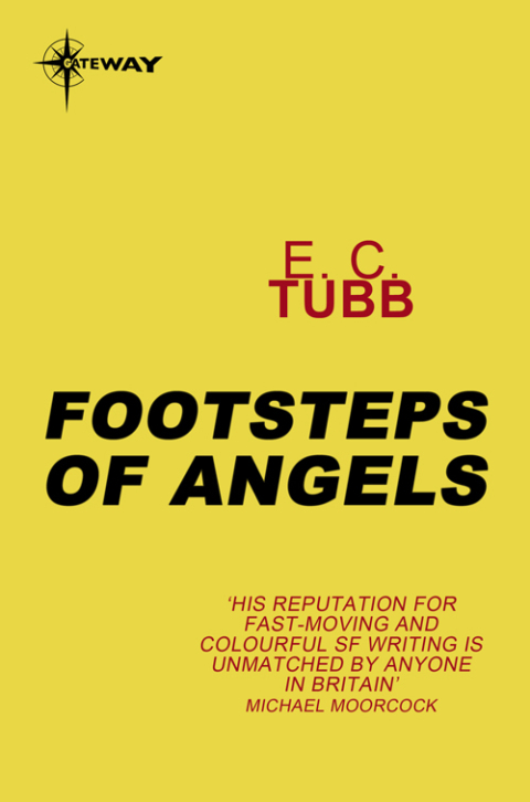 Cover image for book Footsteps of Angels