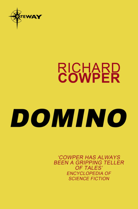 Cover image for book Domino