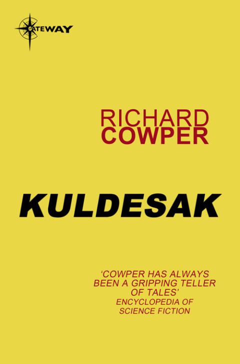 Cover image for book Kuldesak