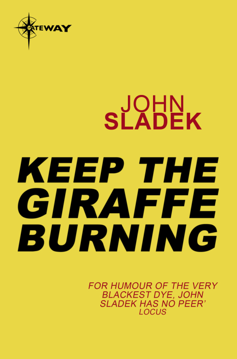 Cover image for book Keep The Giraffe Burning