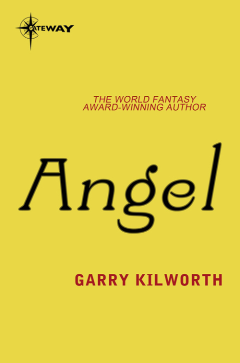 Cover image for book Angel