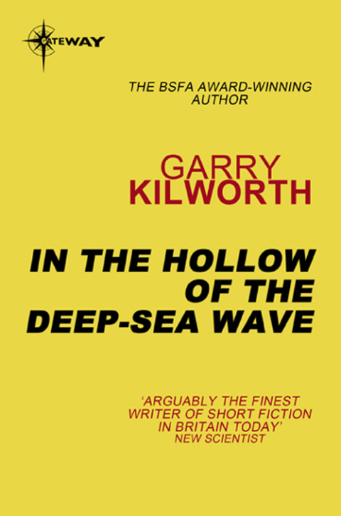 Cover image for book In the Hollow of the Deep-Sea Wave