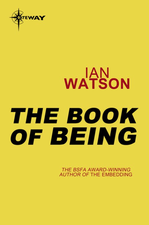 Cover image for book The Book of Being