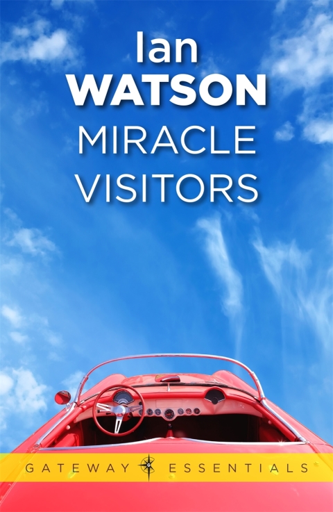 Cover image for book Miracle Visitors