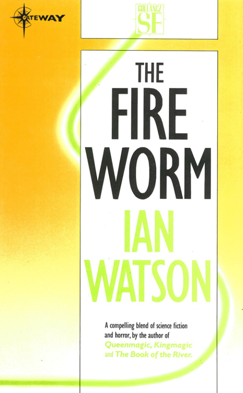 Cover image for book The Fire Worm