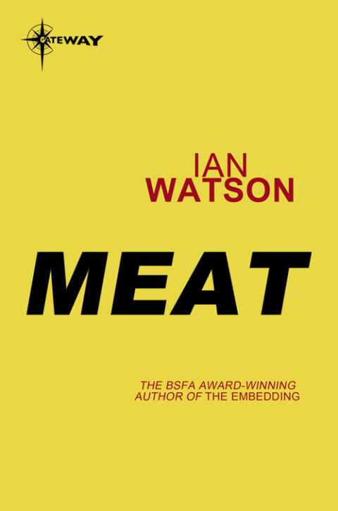 Cover image for book Meat