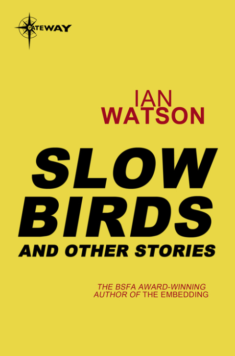 Cover image for book Slow Birds: And Other Stories