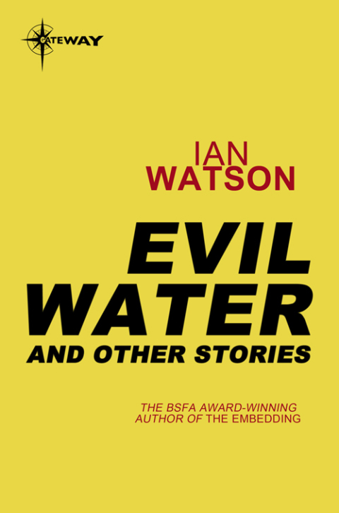 Cover image for book Evil Water: And Other Stories