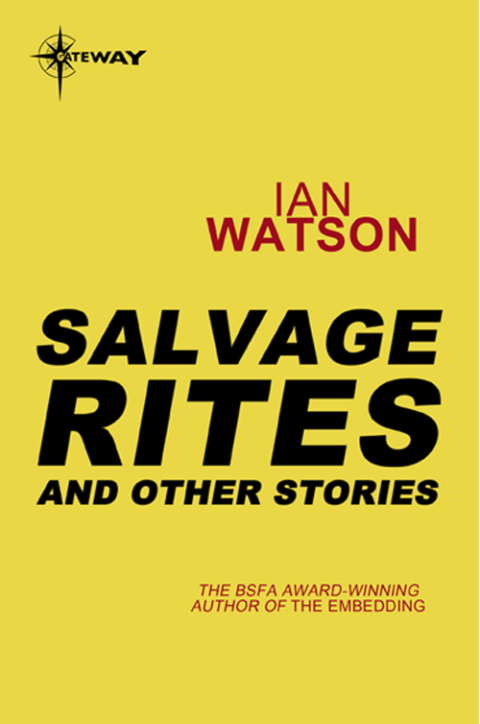 Cover image for book Salvage Rites: And Other Stories