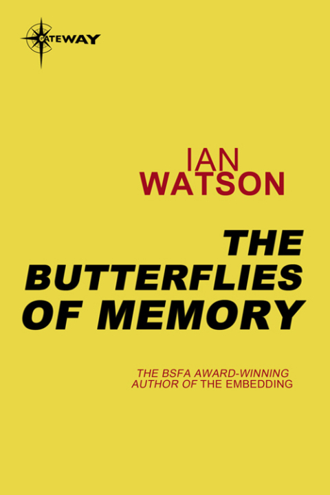 Cover image for book The Butterflies of Memory