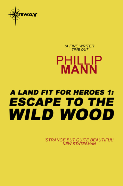Cover image for book Escape to the Wild Wood