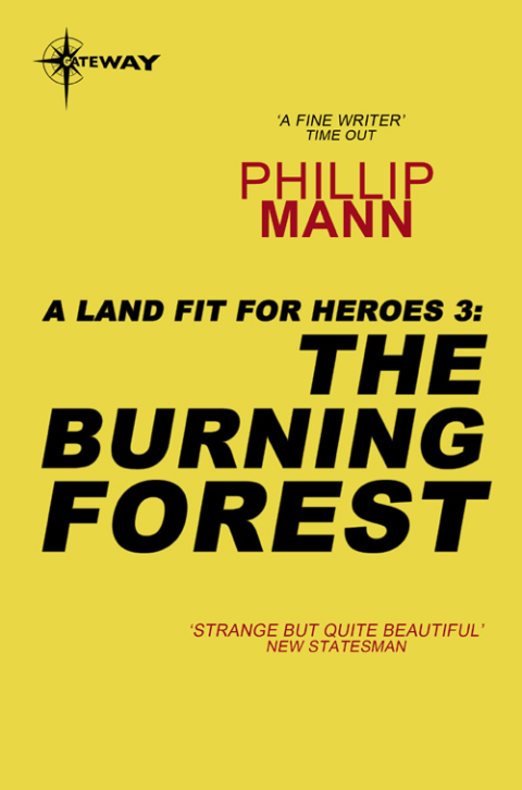 Cover image for book The Burning Forest