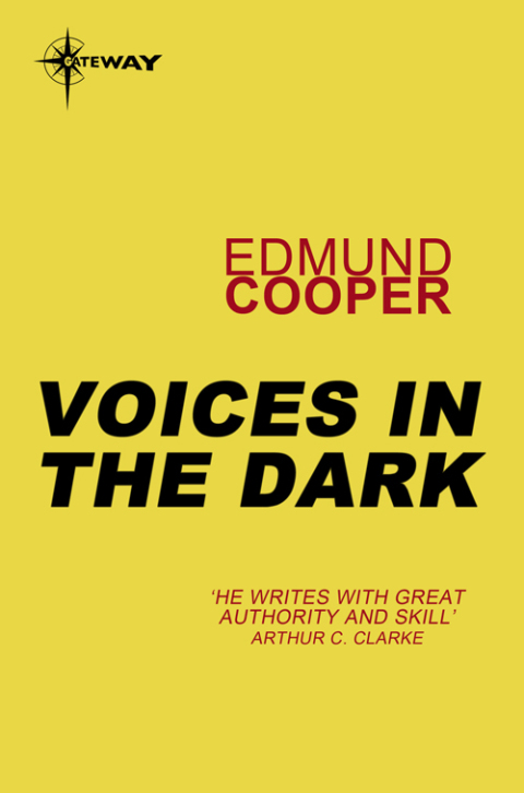 Cover image for book Voices in the Dark