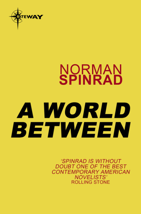 Cover image for book A World Between