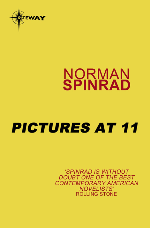 Cover image for book Pictures at 11