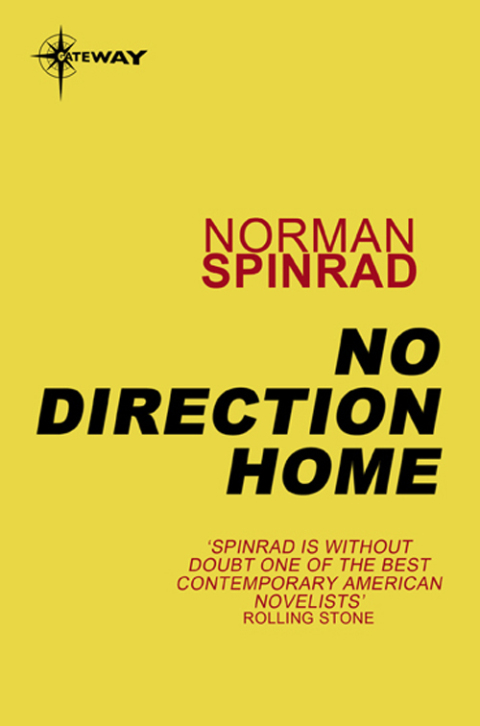 Cover image for book No Direction Home