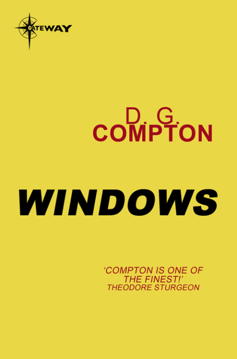 Cover image for book Windows