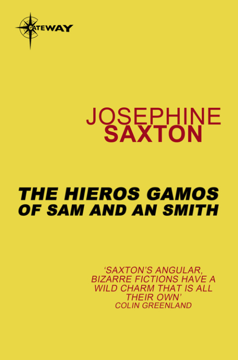 Cover image for book The Hieros Gamos of Sam and An Smith