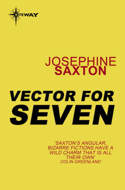 Cover image for book Vector for Seven