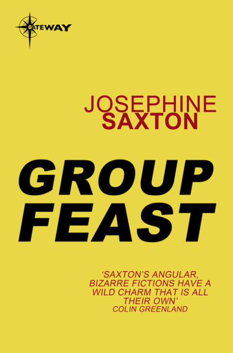 Cover image for book Group Feast