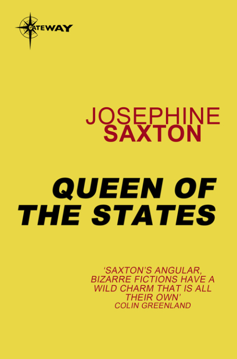 Cover image for book Queen of the States