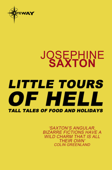 Cover image for book Little Tours of Hell
