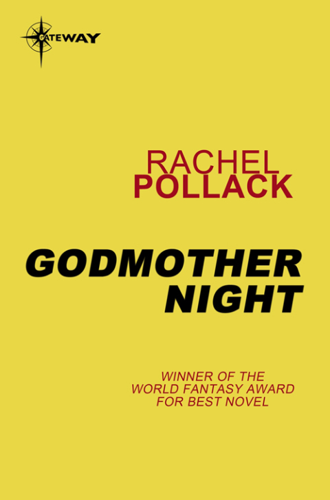 Cover image for book Godmother Night
