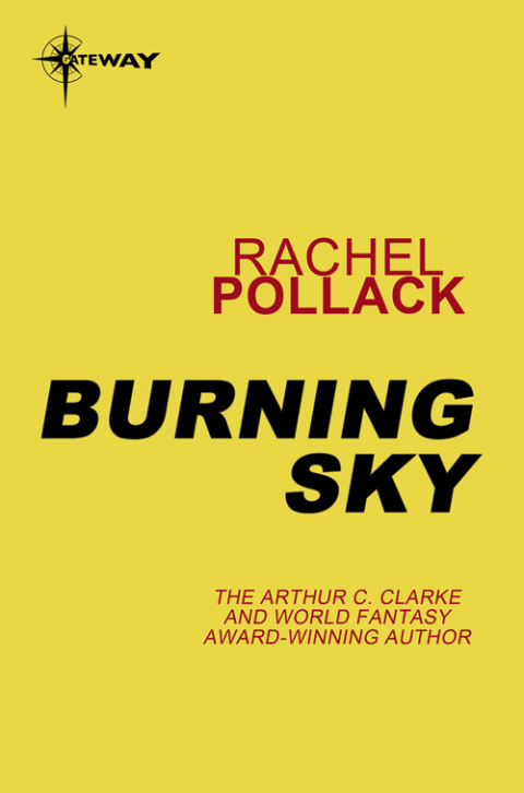Cover image for book Burning Sky