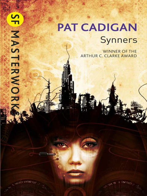 Cover image for book Synners