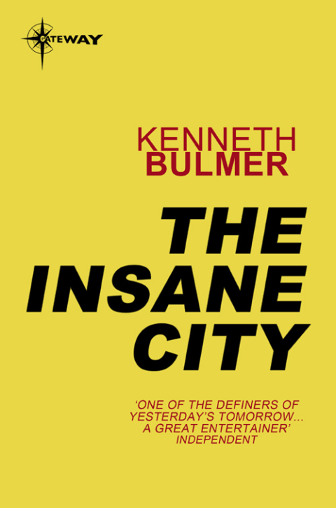 Cover image for book The Insane City