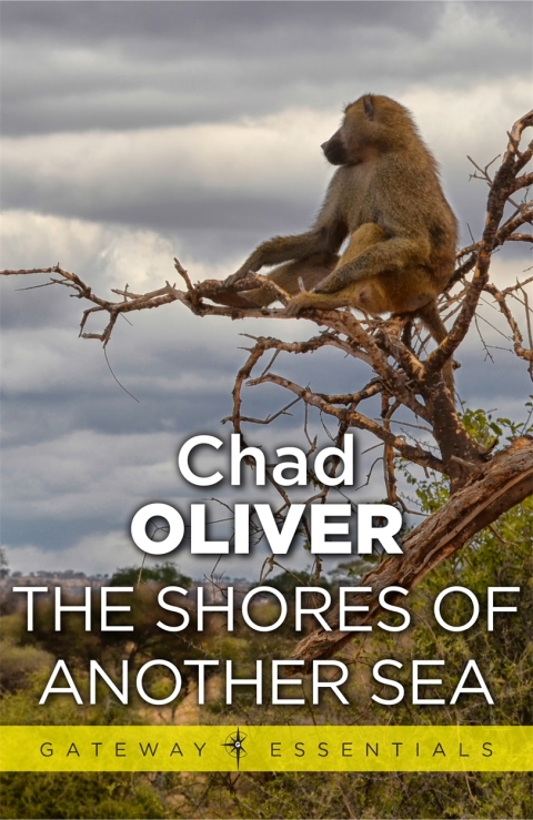 Cover image for book The Shores of Another Sea