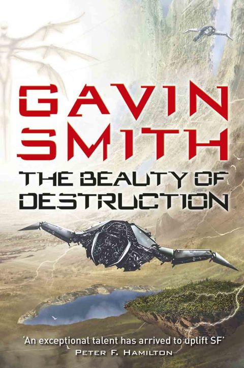 Cover image for book The Beauty of Destruction
