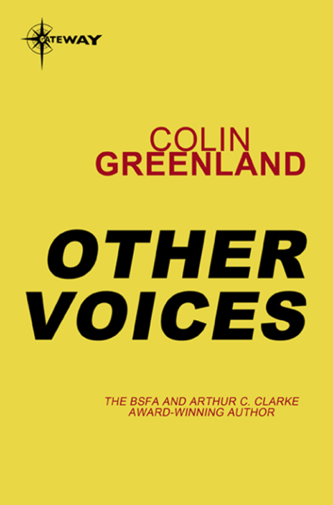 Cover image for book Other Voices
