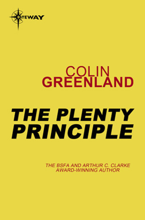 Cover image for book The Plenty Principle