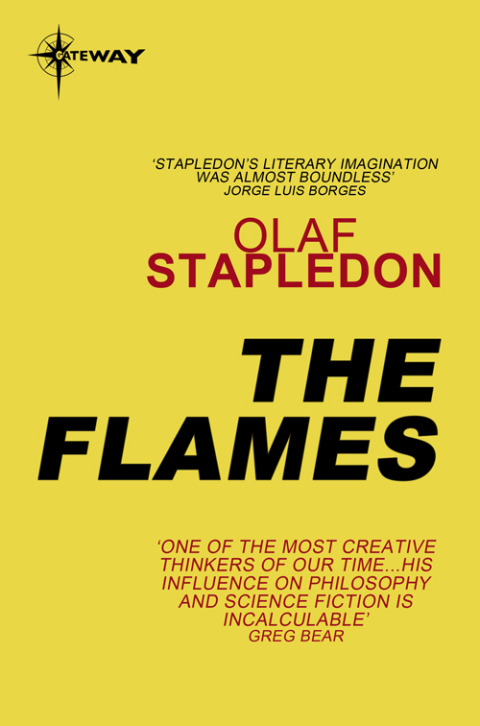 Cover image for book The Flames