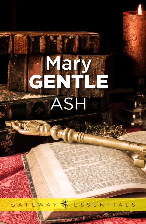 Cover image for book Ash