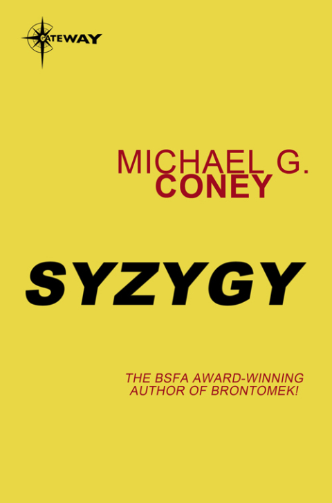 Cover image for book Syzygy
