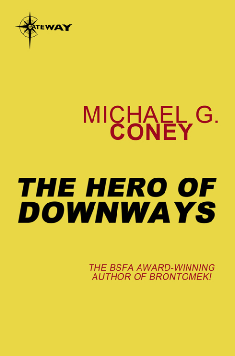 Cover image for book The Hero of Downways
