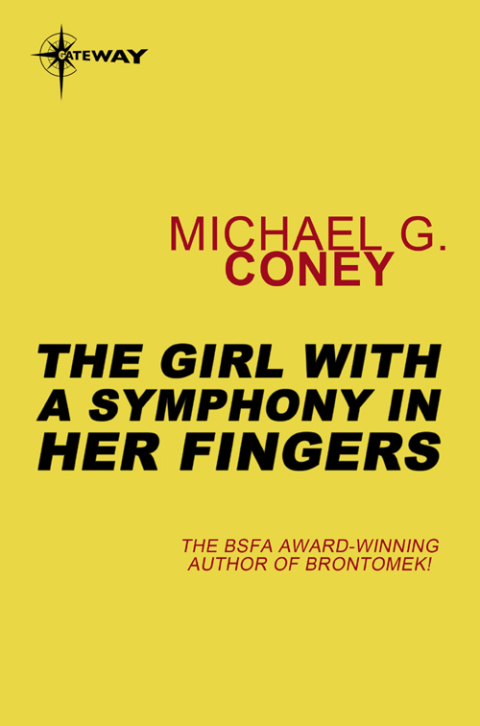 Cover image for book The Girl With a Symphony in Her Fingers