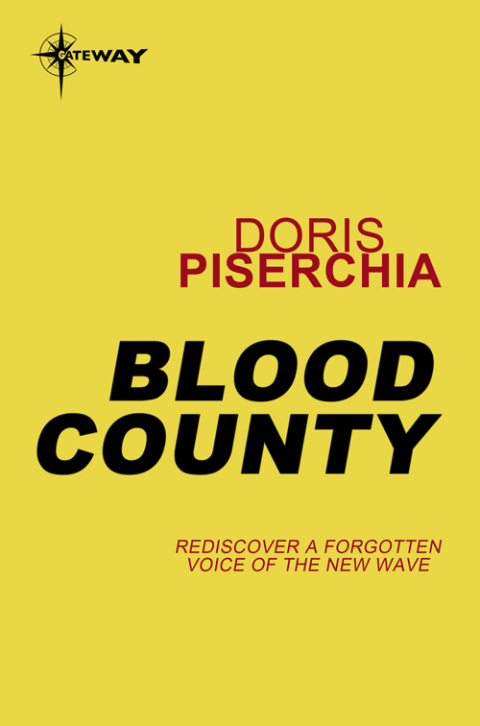 Cover image for book Blood County