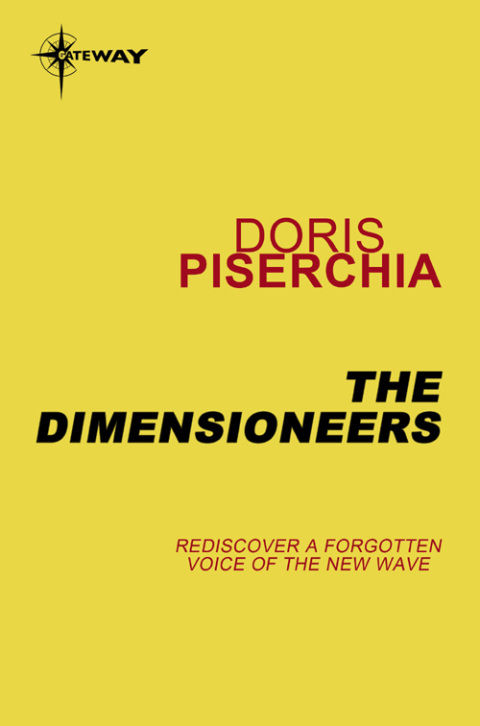 Cover image for book The Dimensioneers