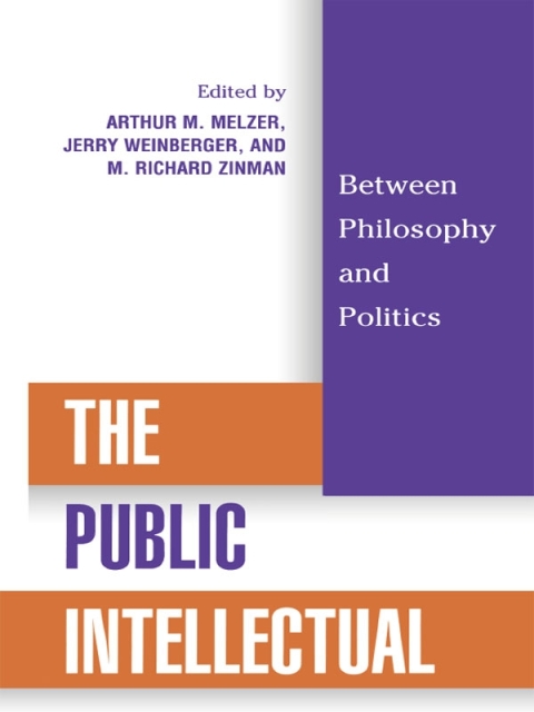 Cover image for book The Public Intellectual