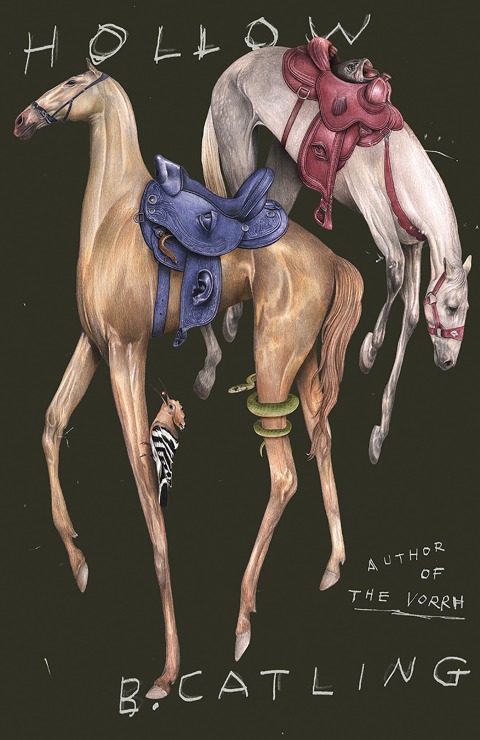 Cover image for book Hollow