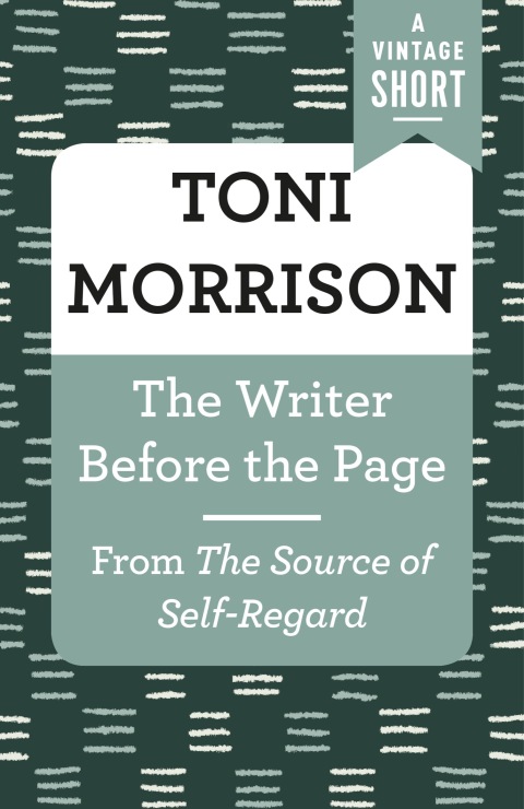 Cover image for book The Writer Before the Page