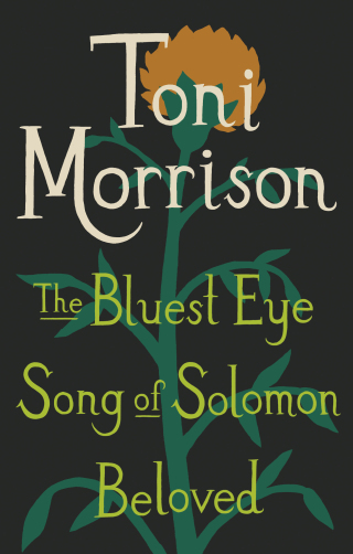 Toni Morrison Box Set