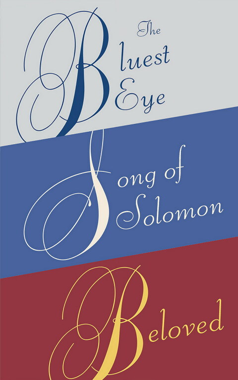 Cover image for book Toni Morrison Box Set