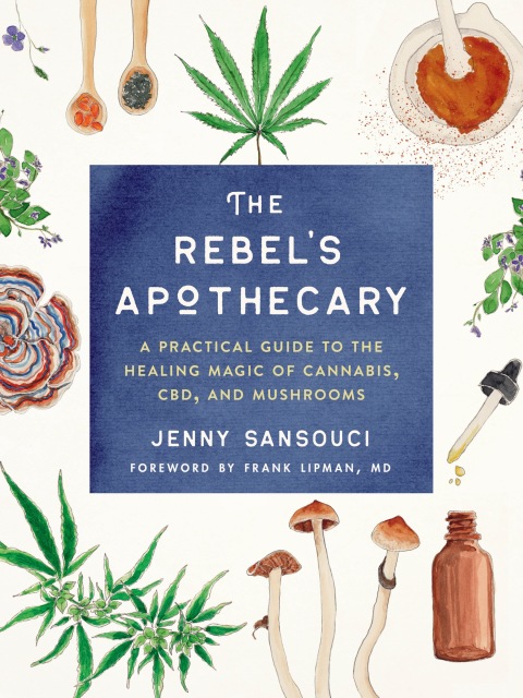 Cover image for book The Rebel's Apothecary
