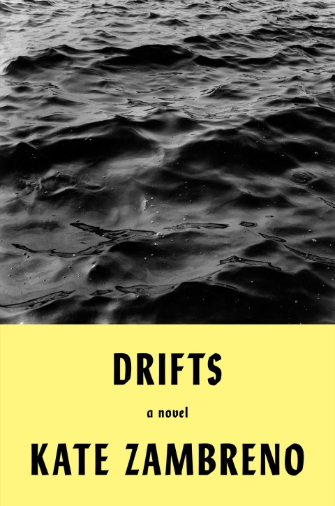 Cover image for book Drifts
